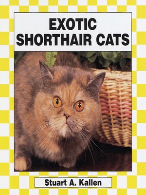 cover image of Exotic Shorthair